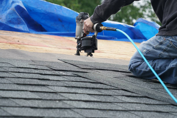 Best Storm Damage Roof Repair  in Brent, AL